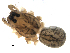  ( - CCDB-08489-C02)  @12 [ ] Copyright  G. Blagoev 2010 Unspecified