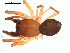  ( - CCDB-08512-H11)  @12 [ ] CreativeCommons - Attribution (2010) Gergin Blagoev, Centre for Biodiversity Genomics Centre for Biodiversity Genomics