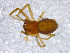  ( - CCDB-08518-B03)  @12 [ ] Copyright  G. Blagoev 2010 Unspecified