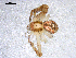  ( - CCDB-08518-B06)  @12 [ ] Copyright  G. Blagoev 2010 Unspecified