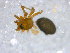  ( - CCDB-08518-D03)  @12 [ ] Copyright  G. Blagoev 2010 Unspecified