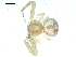  ( - CCDB-08519-A04)  @12 [ ] Copyright  G. Blagoev 2010 Unspecified