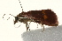  ( - 09BBLEP-00221)  @13 [ ] CreativeCommons - Attribution (2009) Unspecified Centre for Biodiversity Genomics
