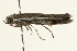  ( - 09BBLEP-00229)  @13 [ ] CreativeCommons - Attribution (2009) Unspecified Centre for Biodiversity Genomics
