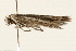  ( - 09BBLEP-00247)  @12 [ ] CreativeCommons - Attribution (2009) Unspecified Centre for Biodiversity Genomics
