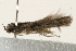  ( - 09BBLEP-00278)  @13 [ ] CreativeCommons - Attribution (2009) Unspecified Centre for Biodiversity Genomics
