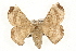  ( - HLC-27388)  @12 [ ] CreativeCommons - Attribution (2009) Unspecified Centre for Biodiversity Genomics