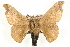  ( - HLC-27390)  @13 [ ] CreativeCommons - Attribution (2009) Unspecified Centre for Biodiversity Genomics
