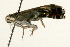 ( - 09BBLEP-00315)  @13 [ ] CreativeCommons - Attribution (2009) Unspecified Centre for Biodiversity Genomics