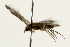  ( - 09BBLEP-00320)  @12 [ ] CreativeCommons - Attribution (2009) Unspecified Centre for Biodiversity Genomics