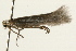  ( - 09BBLEP-00321)  @12 [ ] CreativeCommons - Attribution (2009) Unspecified Centre for Biodiversity Genomics