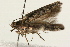  ( - 09BBLEP-00322)  @13 [ ] CreativeCommons - Attribution (2009) Unspecified Centre for Biodiversity Genomics