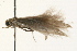  ( - 09BBLEP-00334)  @12 [ ] CreativeCommons - Attribution (2009) Unspecified Centre for Biodiversity Genomics