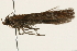  ( - 09BBLEP-00409)  @13 [ ] CreativeCommons - Attribution (2009) Unspecified Centre for Biodiversity Genomics