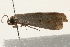  ( - 09BBLEP-00414)  @12 [ ] CreativeCommons - Attribution (2009) Unspecified Centre for Biodiversity Genomics