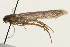  ( - 09BBLEP-00443)  @13 [ ] CreativeCommons - Attribution (2009) Unspecified Centre for Biodiversity Genomics