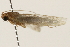  ( - 09BBLEP-00453)  @12 [ ] CreativeCommons - Attribution (2009) Unspecified Centre for Biodiversity Genomics