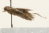  ( - 09BBLEP-00474)  @13 [ ] CreativeCommons - Attribution (2009) Unspecified Centre for Biodiversity Genomics
