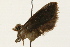  ( - 09BBLEP-00496)  @12 [ ] CreativeCommons - Attribution (2009) Unspecified Centre for Biodiversity Genomics