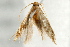  ( - 09BBLEP-00533)  @13 [ ] CreativeCommons - Attribution (2009) Unspecified Centre for Biodiversity Genomics
