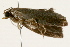  ( - 09BBLEP-00540)  @12 [ ] CreativeCommons - Attribution (2009) Unspecified Centre for Biodiversity Genomics