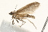  ( - 09BBLEP-00649)  @13 [ ] CreativeCommons - Attribution (2009) Unspecified Centre for Biodiversity Genomics