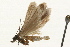  ( - 09BBLEP-00653)  @13 [ ] CreativeCommons - Attribution (2009) Unspecified Centre for Biodiversity Genomics