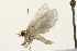  ( - 09BBLEP-00712)  @12 [ ] CreativeCommons - Attribution (2009) Unspecified Centre for Biodiversity Genomics