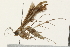  ( - 09BBLEP-00713)  @14 [ ] CreativeCommons - Attribution (2009) Unspecified Centre for Biodiversity Genomics