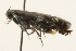  ( - 09BBLEP-00745)  @13 [ ] CreativeCommons - Attribution (2009) Unspecified Centre for Biodiversity Genomics