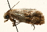  ( - 09BBLEP-00765)  @13 [ ] CreativeCommons - Attribution (2009) Unspecified Centre for Biodiversity Genomics