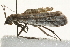  ( - 09BBLEP-00844)  @13 [ ] CreativeCommons - Attribution (2009) Unspecified Centre for Biodiversity Genomics