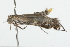  ( - 09BBLEP-00878)  @13 [ ] CreativeCommons - Attribution (2009) Unspecified Centre for Biodiversity Genomics