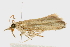  ( - 09BBLEP-00100)  @13 [ ] CreativeCommons - Attribution (2009) Unspecified Centre for Biodiversity Genomics