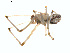  ( - BIOUG00888-A02)  @12 [ ] Copyright  G. Blagoev 2011 Unspecified