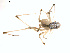 ( - BIOUG00888-A03)  @12 [ ] Copyright  G. Blagoev 2011 Unspecified