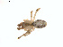  ( - BIOUG00888-A05)  @12 [ ] Copyright  G. Blagoev 2011 Unspecified
