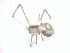  ( - BIOUG00888-B05)  @12 [ ] Copyright  G. Blagoev 2011 Unspecified