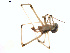  ( - BIOUG00888-B07)  @12 [ ] Copyright  G. Blagoev 2011 Unspecified