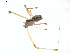  ( - BIOUG00888-B08)  @12 [ ] Copyright  G. Blagoev 2011 Unspecified