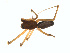  ( - BIOUG01576-E06)  @12 [ ] Copyright  G. Blagoev 2011 Unspecified