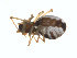 ( - BIOUG01576-E08)  @12 [ ] Copyright  G. Blagoev 2011 Unspecified