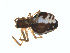  ( - BIOUG01576-E09)  @12 [ ] Copyright  G. Blagoev 2011 Unspecified