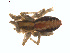  ( - BIOUG01576-E10)  @12 [ ] Copyright  G. Blagoev 2011 Unspecified