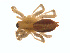  ( - BIOUG01576-E12)  @12 [ ] Copyright  G. Blagoev 2011 Unspecified
