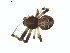  ( - BIOUG01576-H05)  @12 [ ] Copyright  G. Blagoev 2011 Unspecified