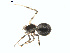  ( - BIOUG01579-A08)  @12 [ ] Copyright  G. Blagoev 2011 Unspecified