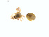  ( - BIOUG01579-B04)  @12 [ ] Copyright  G. Blagoev 2011 Unspecified