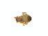  ( - BIOUG01579-B06)  @12 [ ] Copyright  G. Blagoev 2011 Unspecified