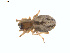  ( - BIOUG01579-C03)  @12 [ ] Copyright  G. Blagoev 2011 Unspecified